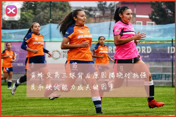 黄蜂交易三球背后原因揭晓对抗强度和硬仗能力成关键因素