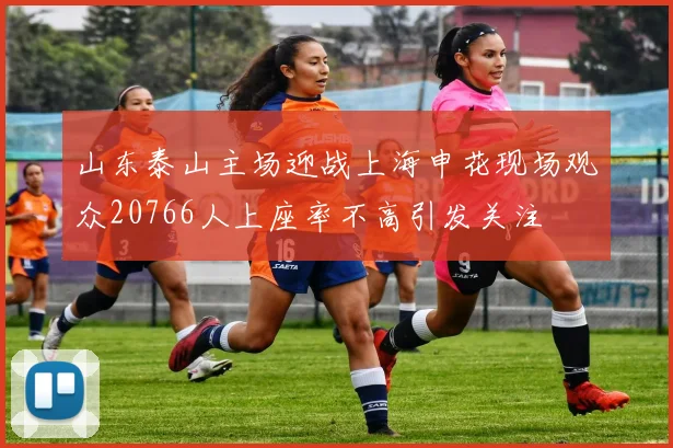 山东泰山主场迎战上海申花现场观众20766人上座率不高引发关注
